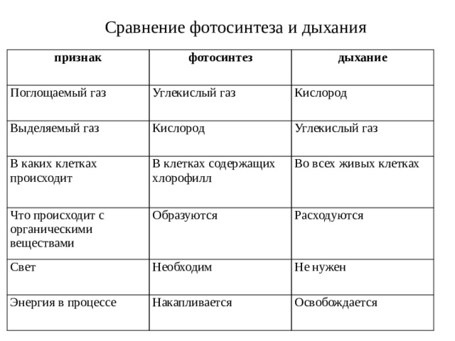 Сравнение фотосинтеза и дыхания признак Поглощаемый газ фотосинтез дыхание Углекислый газ Выделяемый газ Кислород Кислород В каких клетках происходит Что происходит с органическими веществами В клетках содержащих хлорофилл Углекислый газ Образуются Свет Во всех живых клетках Расходуются Необходим Энергия в процессе Не нужен Накапливается Освобождается 