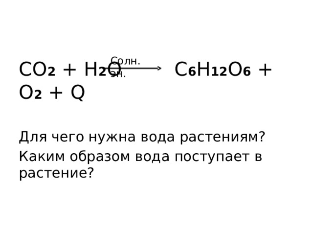Солн. эн. CO 2 + H 2 O   C 6 H 12 O 6 + O 2 + Q Для чего нужна вода растениям? Каким образом вода поступает в растение? 