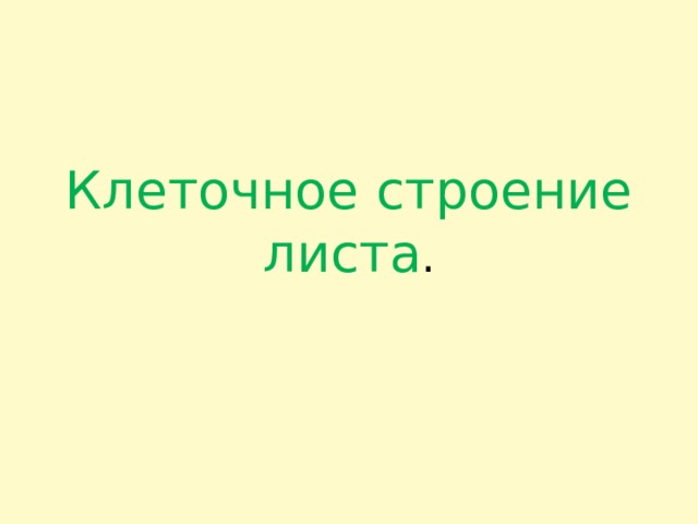 Клеточное строение листа . 