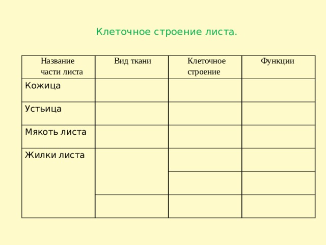  Клеточное строение листа.   Название части листа Вид ткани Кожица Клеточное строение Устьица Функции Мякоть листа Жилки листа 