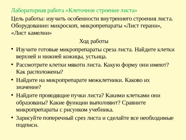 Лабораторная работа «Клеточное строение листа» Цель работы: изучить особенности внутреннего строения листа.  Оборудование :  микроскоп, микропрепараты «Лист герани», «Лист камелии»   Ход работы Изучите готовые микропрепараты среза листа. Найдите клетки верхней и нижней кожицы, устьица. Рассмотрите клетки мякоти листа. Какую форму они имеют? Как расположены? Найдите на микропрепарате межклетники. Каково их значение? Найдите проводящие пучки листа? Какими клетками они образованы? Какие функции выполняют? Сравните микропрепараты с рисунком учебника. Зарисуйте поперечный срез листа и сделайте все необходимые подписи. 