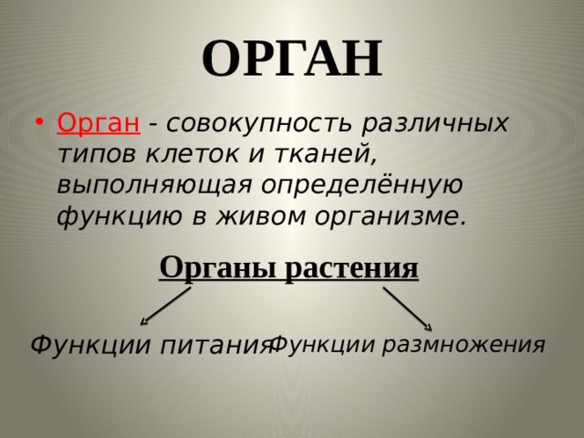 ОРГАН Орган - совокупность различных типов клеток и тканей, выполняющая определённую функцию в живом организме. Органы растения Функции питания Функции размножения 