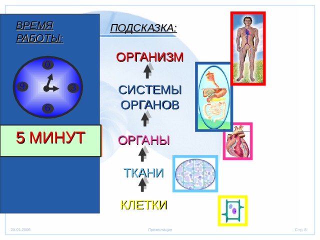 ВРЕМЯ РАБОТЫ: ПОДСКАЗКА: ОРГАНИЗМ 0 СИСТЕМЫ ОРГАНОВ 9 3 6 5 МИНУТ 50 СЕКУНД 4,5 МИНУТЫ 4 МИНУТЫ 3,5 МИНУТЫ 3 МИНУТЫ 2,5 МИНУТЫ 2 МИНУТЫ 1,5 МИНУТЫ 1 МИНУТА 40 СЕКУНД 30 СЕКУНД 20 СЕКУНД 10 СЕКУНД  Время!!! ОРГАНЫ ТКАНИ КЛЕТКИ 
