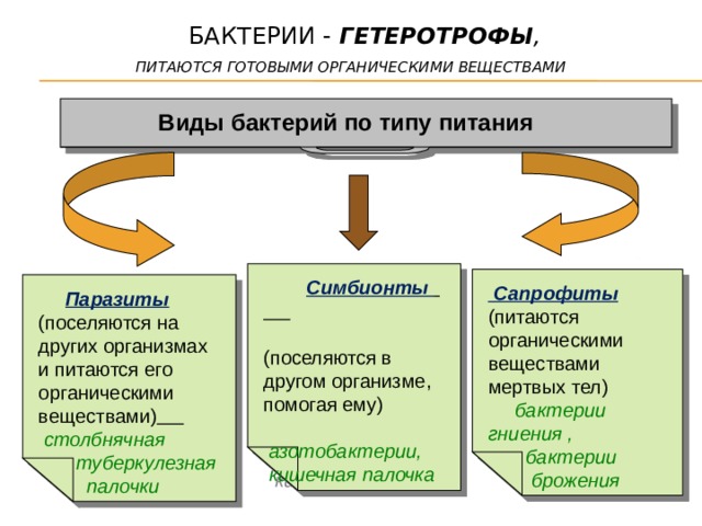 бактерии - гетеротрофы ,   питаются готовыми органическими веществами  Виды бактерий по типу питания  Симбионты   (поселяются в другом организме, помогая ему)  азотобактерии,  кишечная палочка   Сапрофиты (питаются органическими веществами мертвых тел)  бактерии гниения ,  бактерии  брожения   Паразиты (поселяются на других организмах и питаются его органическими веществами)   столбнячная  туберкулезная  палочки 
