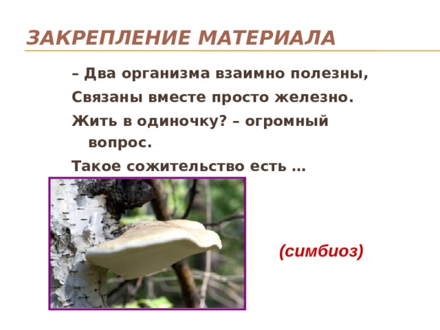 Закрепление материала – Два организма взаимно полезны, Связаны вместе просто железно. Жить в одиночку? – огромный вопрос. Такое сожительство есть … (симбиоз) 