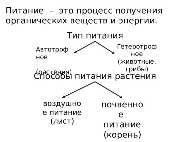 Питание – это процесс получения органических веществ и энергии. Тип питания Гетеротрофное (животные, грибы) Автотрофное  (растения) Способы питания растения воздушное питание (лист) почвенное питание (корень) 