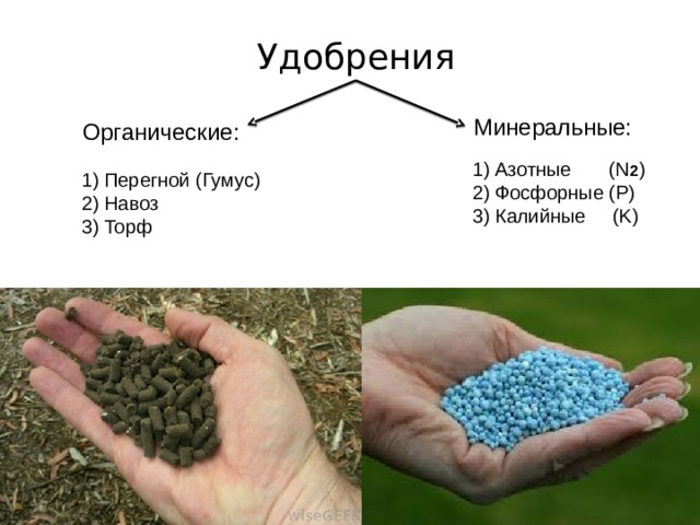 Удобрения Минеральные: Органические: 1) Азотные (N 2 ) 2) Фосфорные (P) 3) Калийные (K) 1) Перегной (Гумус) 2) Навоз 3) Торф 