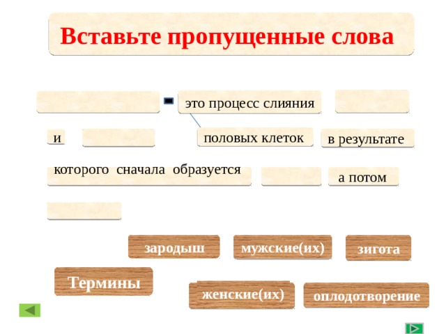 Вставьте пропущенные слова это процесс слияния  половых клеток  в результате и  а потом  которого сначала образуется  По щелчку перетащите термины в соответствующее окошко зигота мужские(их) зародыш Термины женские(их) оплодотворение 12 