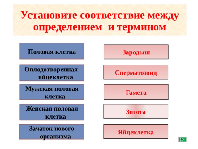 Установите соответствие между определением и термином Половая клетка Зародыш Оплодотворенная яйцеклетка Сперматозоид Гамета Мужская половая клетка По щелчку установите соответствие Зигота Женская половая клетка Зачаток нового организма Яйцеклетка 14 