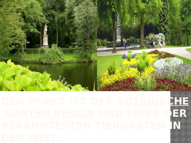  Eine Besonderheit unter den Parks ist der  Botanische Garten Berlin und einer der bekanntesten tiergarten in der welt. 