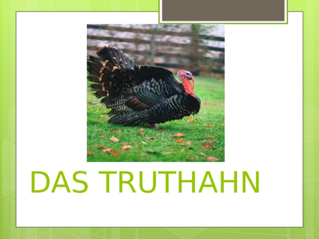  DAS TRUTHAHN 