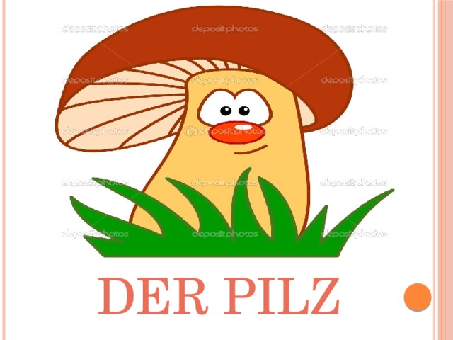Der Pilz 