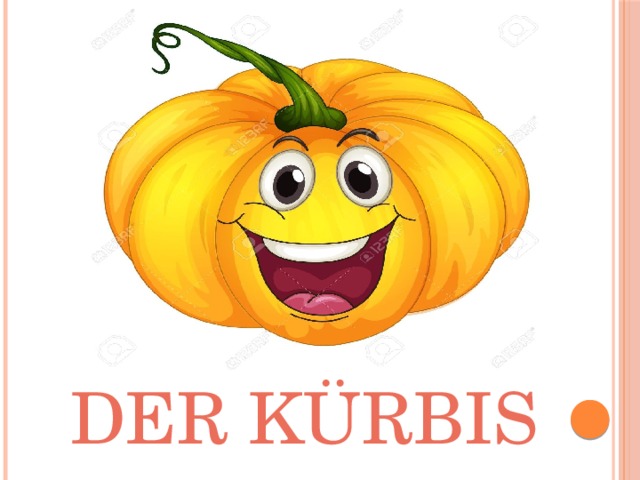 Der Kürbis 