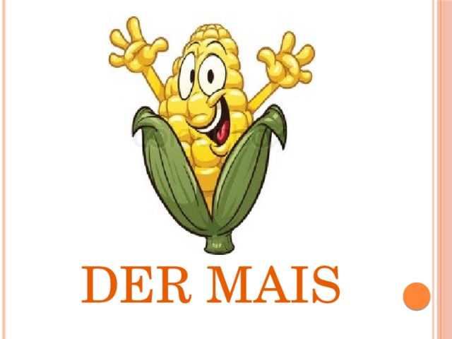 Der mais 