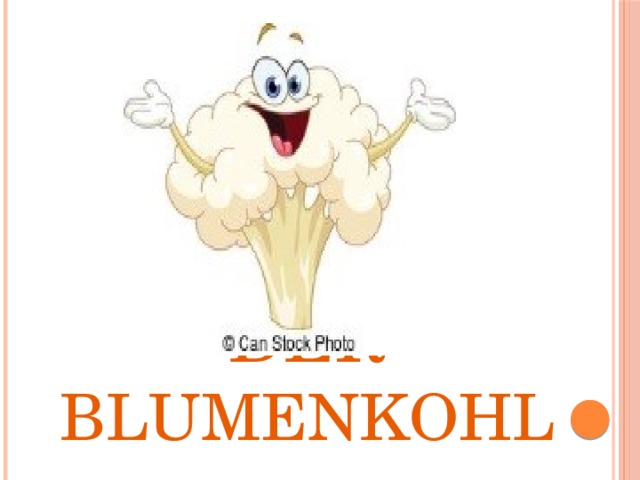 Der Blumenkohl 