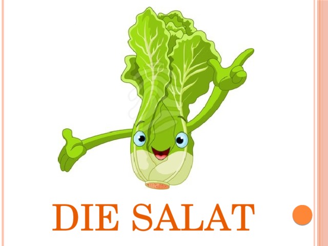 Die Salat 