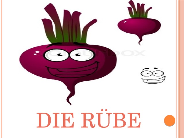 Die Rübe 