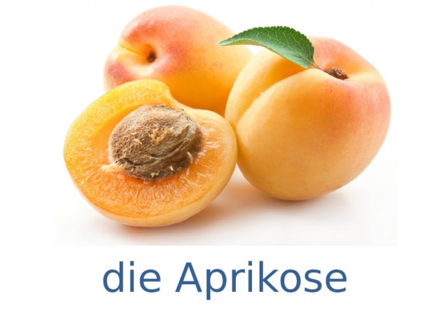 die Aprikose 