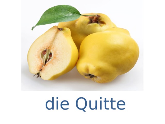 die Quitte 