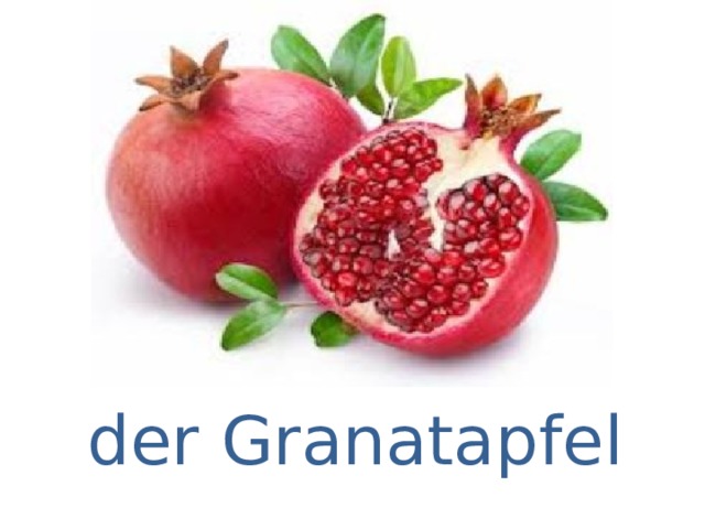 der Granatapfel 