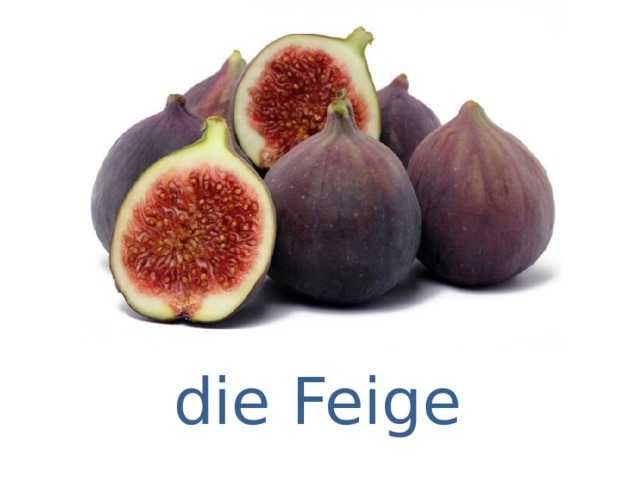 die Feige 
