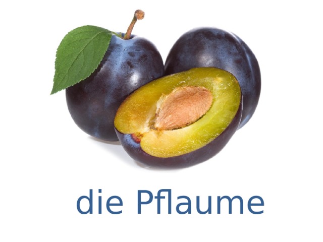 die Pflaume 