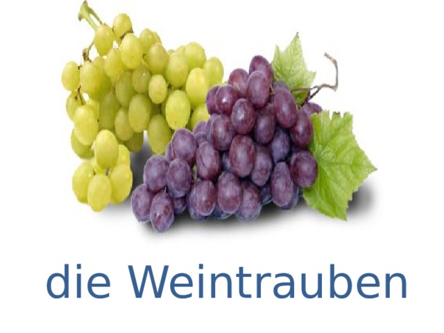 die Weintrauben 