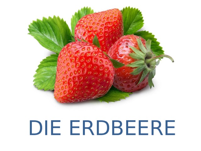 DIE ERDBEERE 