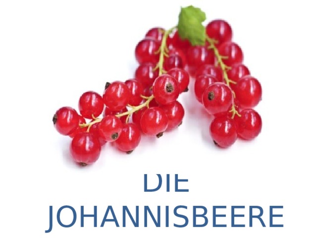 DIE JOHANNISBEERE 