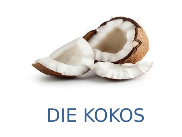 DIE KOKOS 