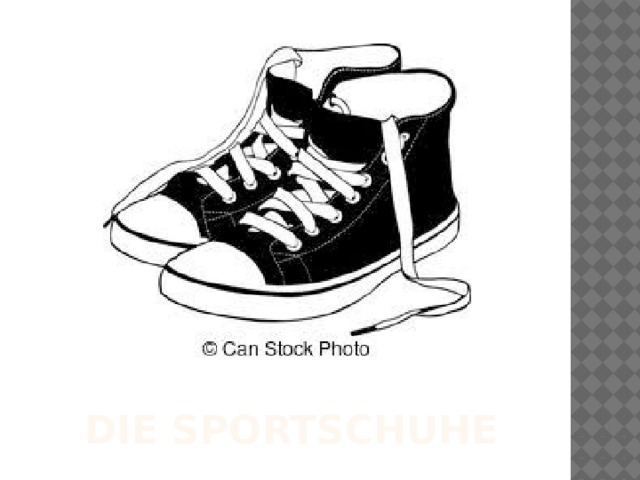 DIE SPORTSCHUHE 