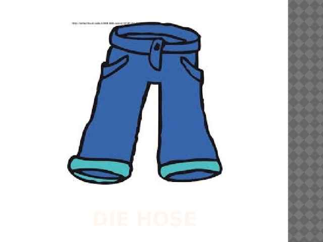 DIE HOSE 