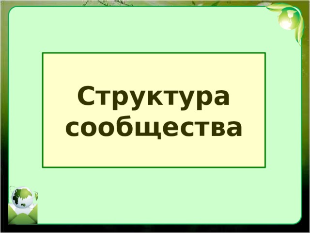 Структура  сообщества 