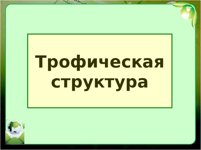 Трофическая структура 