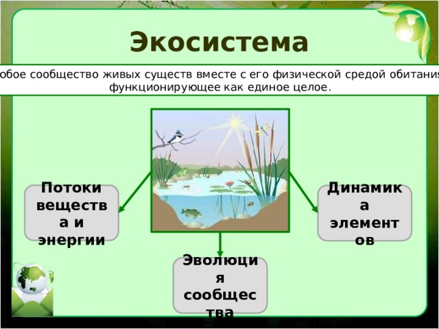 Экосистема Любое сообщество живых существ вместе с его физической средой обитания, функционирующее как единое целое. Потоки вещества и энергии Динамика элементов Эволюция сообщества 