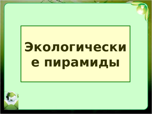 Экологические пирамиды 