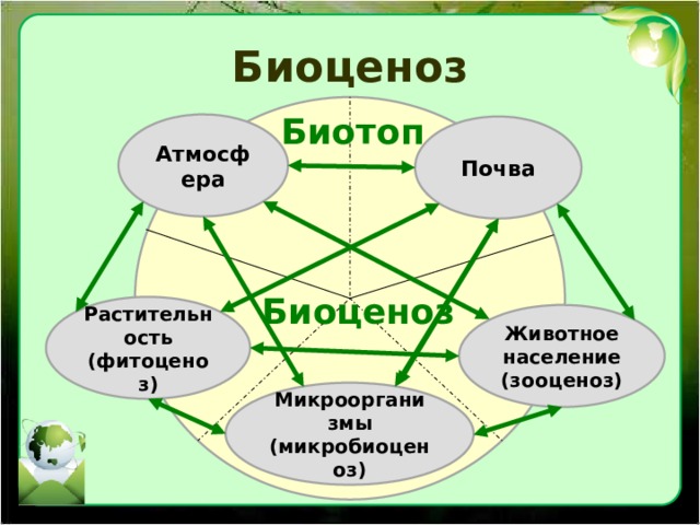 Биоценоз Биотоп Атмосфера Почва Биоценоз Растительность (фитоценоз) Животное население (зооценоз) Микроорганизмы (микробиоценоз) 