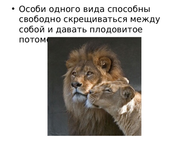 Особи одного вида способны свободно скрещиваться между собой и давать плодовитое потомство. 