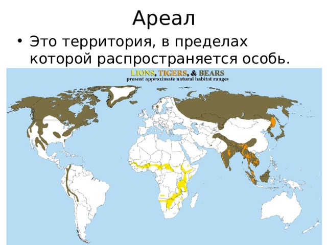 Ареал Это территория, в пределах которой распространяется особь. 