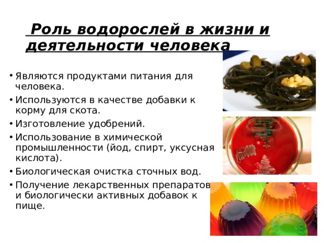   Роль водорослей в жизни и деятельности человека Являются продуктами питания для человека. Используются в качестве добавки к корму для скота. Изготовление удобрений. Использование в химической промышленности (йод, спирт, уксусная кислота). Биологическая очистка сточных вод. Получение лекарственных препаратов и биологически активных добавок к пище. 