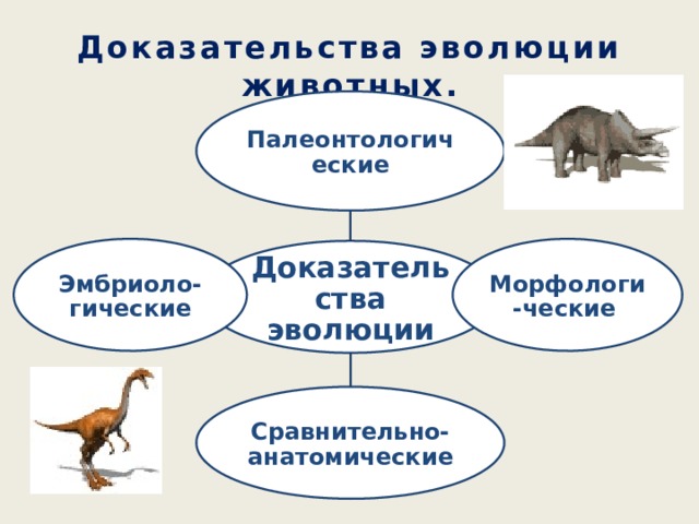 Доказательства эволюции животных. Палеонтологические Морфологи-ческие  Эмбриоло-гические Доказательства эволюции Сравнительно-анатомические 