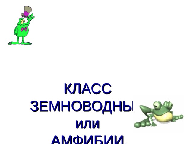 КЛАСС  ЗЕМНОВОДНЫЕ  или  АМФИБИИ. 