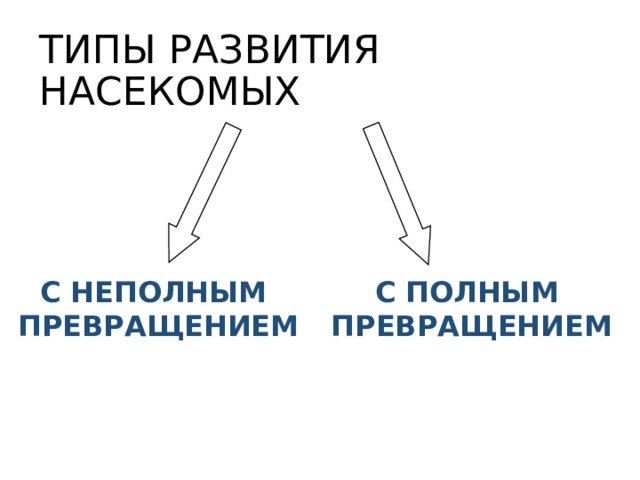 ТИПЫ РАЗВИТИЯ НАСЕКОМЫХ С НЕПОЛНЫМ С ПОЛНЫМ  ПРЕВРАЩЕНИЕМ  ПРЕВРАЩЕНИЕМ 