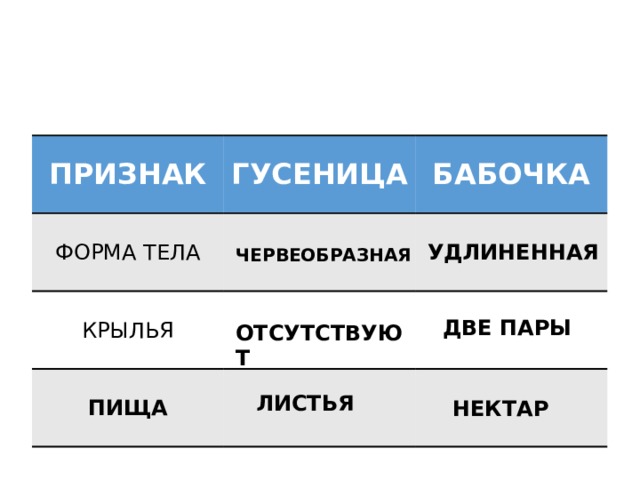 ПРИЗНАК ГУСЕНИЦА ФОРМА ТЕЛА БАБОЧКА КРЫЛЬЯ ПИЩА УДЛИНЕННАЯ ЧЕРВЕОБРАЗНАЯ ДВЕ ПАРЫ ОТСУТСТВУЮТ ЛИСТЬЯ НЕКТАР 