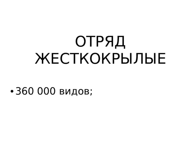 ОТРЯД ЖЕСТКОКРЫЛЫЕ 360 000 видов; 