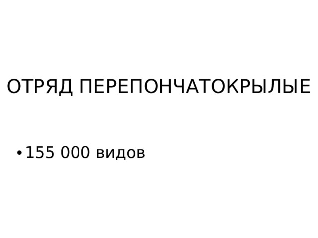 ОТРЯД ПЕРЕПОНЧАТОКРЫЛЫЕ 155 000 видов 