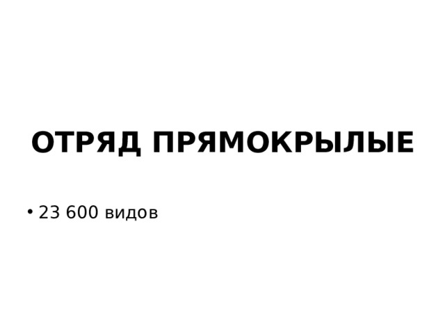 ОТРЯД ПРЯМОКРЫЛЫЕ 23 600 видов 