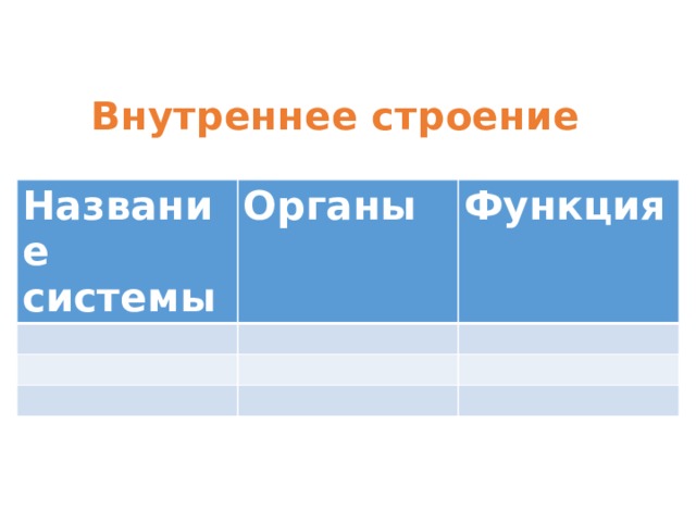 Внутреннее строение Название системы Органы Функция 