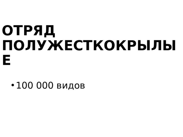 ОТРЯД ПОЛУЖЕСТКОКРЫЛЫЕ 100 000 видов 
