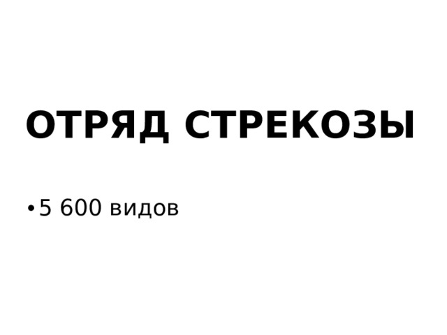 ОТРЯД СТРЕКОЗЫ 5 600 видов 